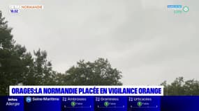 Orages: la Normandie placée en vigilance orange