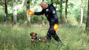 Un gendarme entraîne un chien à retrouver des gens dans un bois (PHOTO D'ILLUSTRATION)