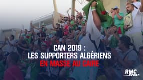 CAN 2019 : les supporters algériens en masse au Caire