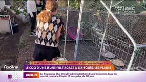 RMC chez vous : Le coq d'une jeune fille agace à Six-Fours-les-Plages - 16/11