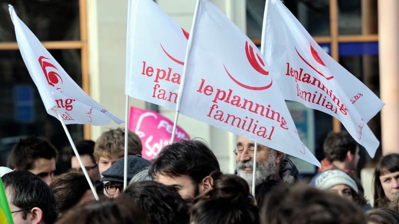Des manifestants brandissant des drapeaux du planning familial le 1er février 2014 à Lille