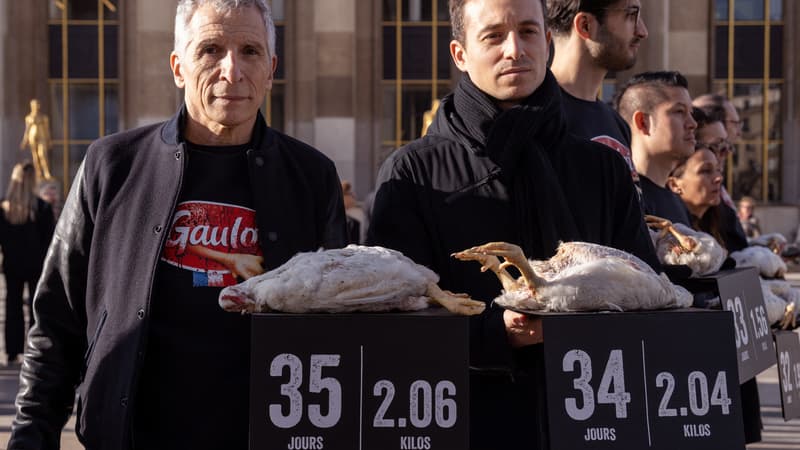 Nagui (à gauche) et Hugo Clément (à droite) détiennent des poulets morts avec des banderoles indiquant leur âge et leur poids au moment de leur mort lors d'une manifestation organisée par l'association française de défense des droits des animaux L214 sur la place des droits de l'homme du Trocadéro à Paris, le Le 15 février 2024, pour sensibiliser et dénoncer l'utilisation de poulets génétiquement manipulés par l'entreprise agroalimentaire française "Le Gaulois" à Paris.
