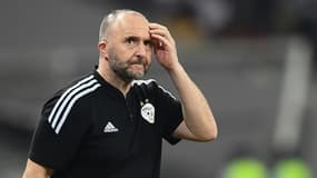 Le sélectionneur de l'Algérie Djamel Belmadi durant le match décisif contre la Côte d'Ivoire à la CAN à Douala, le 20 janvier 2022  