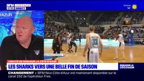 Les Sharks d'Antibes vers une belle fin de saison