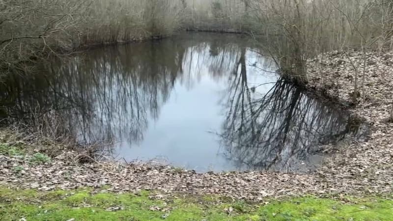 Val-d'Oise: une pollution provoque des odeurs nauséabondes, une plainte déposée