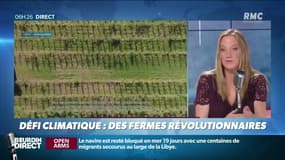 "Objectif Terre": des fermes révolutionnaires au Pays-Bas 