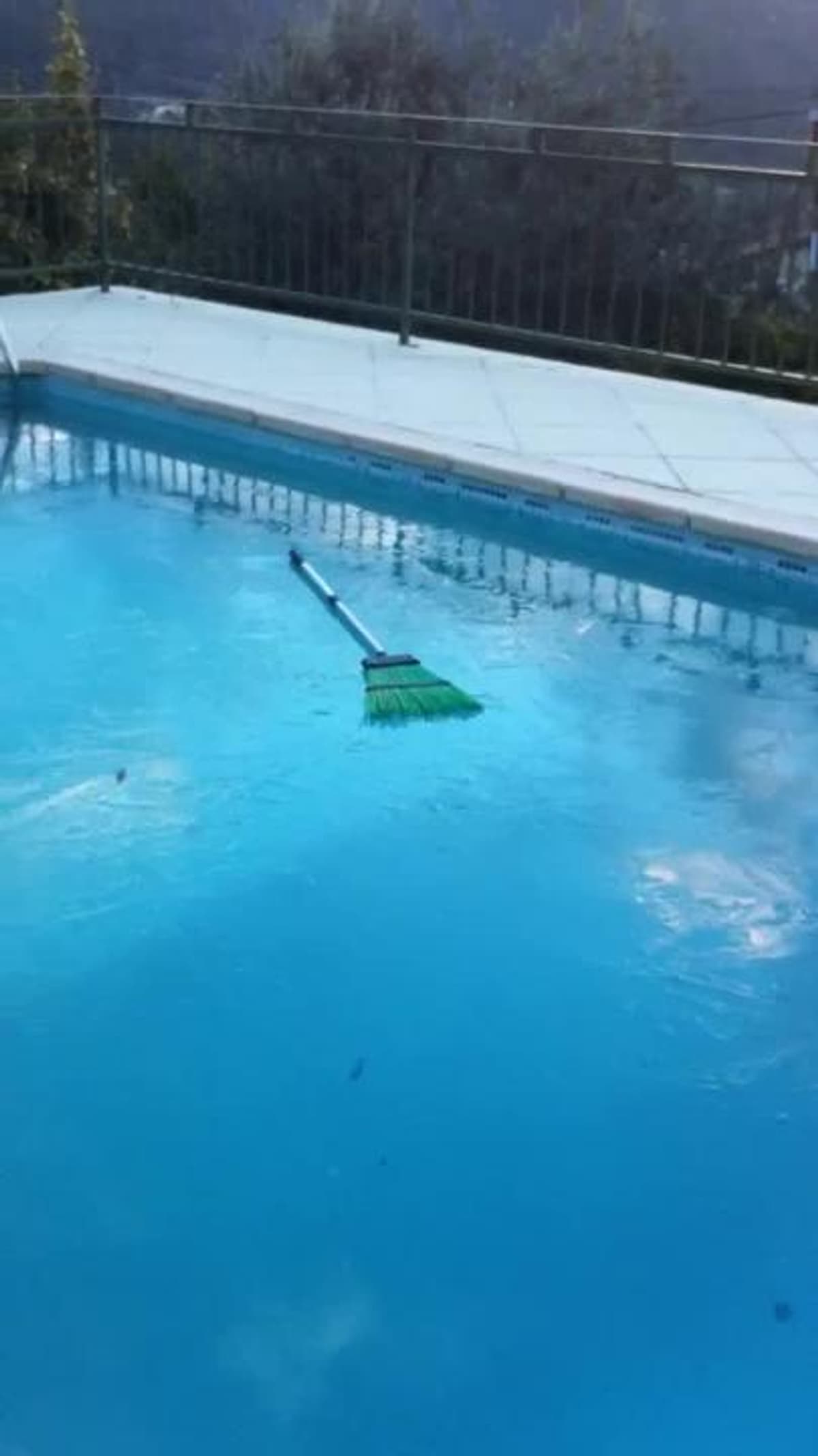 placeholder video
