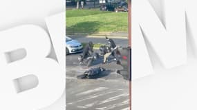 Le conducteur d'une moto agressé à un feu rouge à Grigny par des voleurs en août 2023.