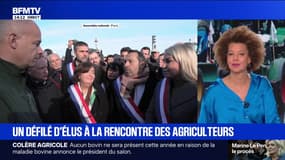 "Une décision historique": il n'y aura aucun bovin lors de l'édition 2026 (une première en 60 ans)