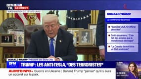 "Cela fait des années que le monde entier nous escroque en termes de commerce, en termes de défense", déclare Donald Trump 