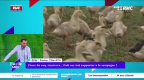 Chant du coq, tracteurs... doit-on tout supporter à la campagne ? - 27/04
