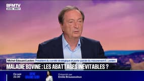 Accord sur le Mercosur: "M. Lecornu a raison jusqu'au dernier moment de négocier", estime Michel-Édouard Leclerc
