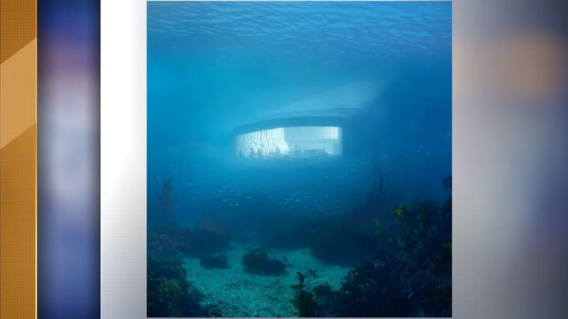 Vue sous-marine du restaurant situé dans les eaux de la mer du Nord.