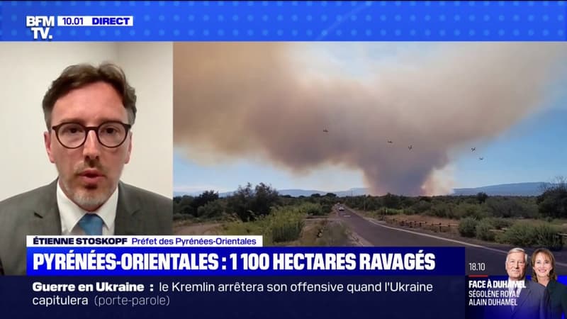 Incendie dans les Pyrénées-Orientales: 1100 hectares ravagés mais 