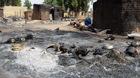 Dans le village de Mairi, au Nigeria, brûlé par Boko Haram, le 6 février 2016.