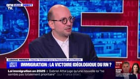 Loi sur l'immigration : "On a un ministre de l'Intérieur qui ne fait que de la communication"dit Ludovic Mendes (Ensemble)