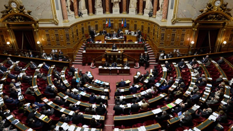 Droit à l'IVG dans la Constitution: un texte écologiste en débat au Sénat le 19 octobre