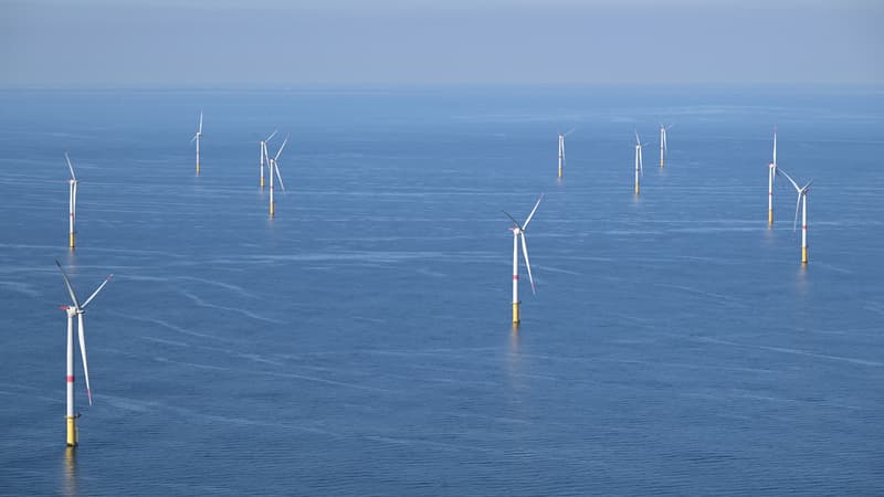 "On se fout de qui?" Des centaines de Bretons vent debout contre un projet de parc éolien en mer