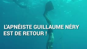 105m de profondeur en apnée: Guillaume Néry fait son retour sous l’eau