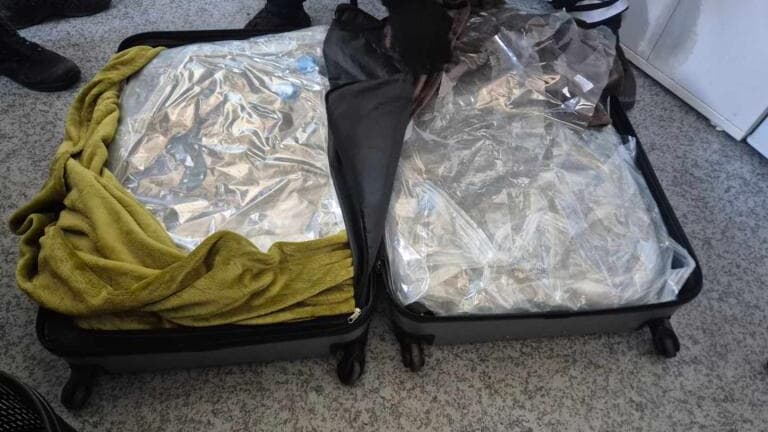 Les agents des brigades des douanes de Menton ont saisi plus de 9 kg de cannabis dans un bus