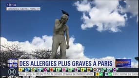 Le printemps marque le retour des allergies, mais le risque reste bas en Île-de-France