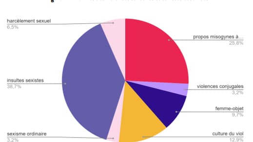 Les formes de violences verbales dans le détail Les formes de violences verbales dans le détail