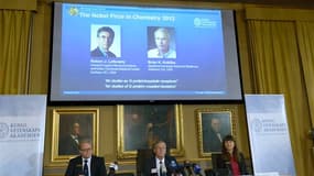 Le prix Nobel de chimie 2012 a été attribué aux Américains Robert Lefkowitz et Brian Kobilka pour leurs recherches sur un modèle de récepteur qui permet aux cellules de s'adapter à leur environnement. /Photo prise le 10 octobre 2012/REUTERS/Bertil Enevag