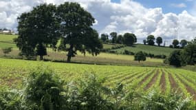 "Si demain tous les agriculteurs français se passent de pesticides, on ne pourra plus nourrir tous nos concitoyens."