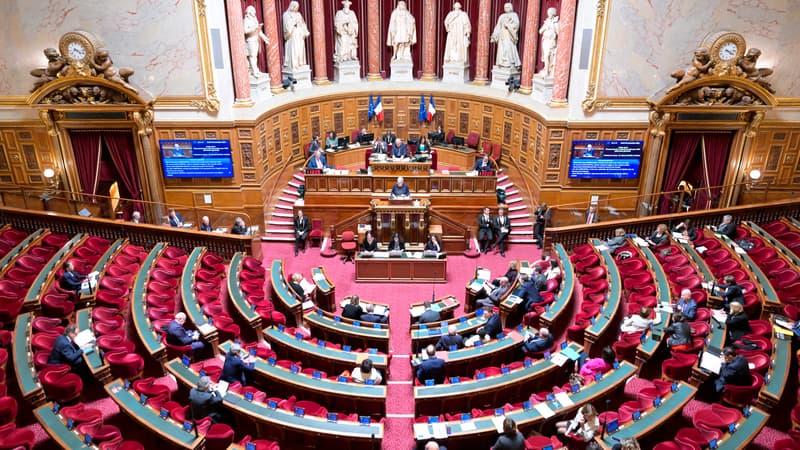 La loi d'orientation agricole adoptée en commission au Sénat