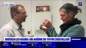 Alpes-de-Haute-Provence: un arôme de thym cristallisé pour la première fois