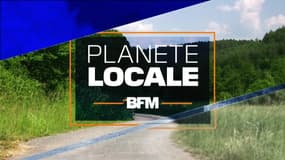 Planète locale du lundi 1 mai 2023 - Grand Est : la forêt en grosse souffrance