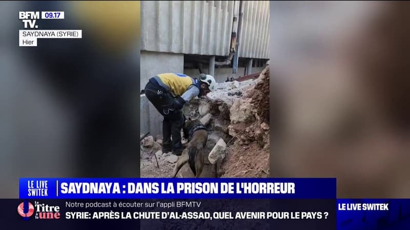 Saydnaya: dans la prison de l'horreur