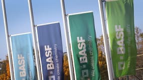 BASF a économisé 928 millions d'euros d'impôts entre 2010 et 2014