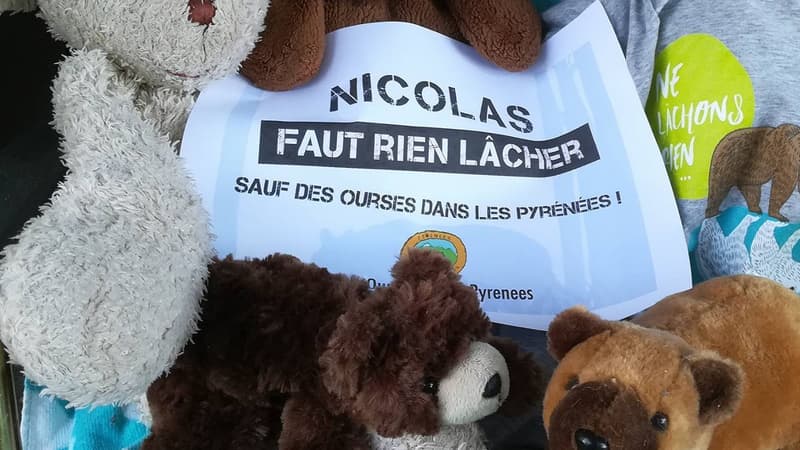 Le tract de défense de l'ours affiché sur les réseaux.