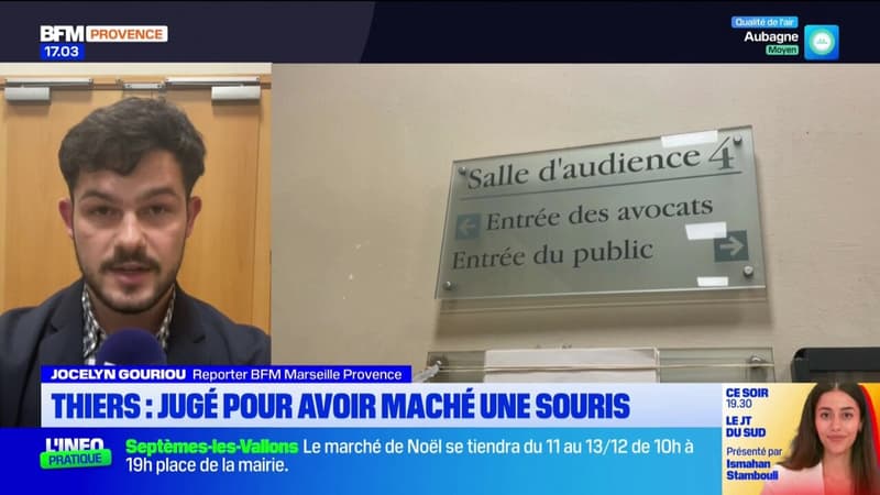 Un ancien élève du lycée Thiers condamné pour avoir mâché une souris