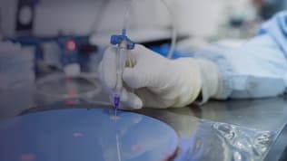 Semco Technologies est un gagnant de l'essor de l'IA 