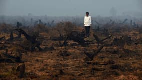 Le président de l'Indonésie, Joko Widodo face à une prairie dévastée par les flammes ce 23 septembre. 