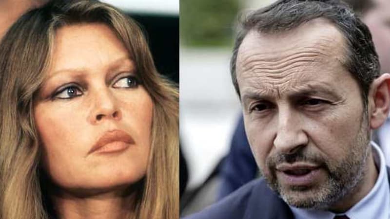 "Elle n’était pas fascinée par le communisme, les dictatures": l'hommage de Sébastien Chenu à Brigitte Bardot