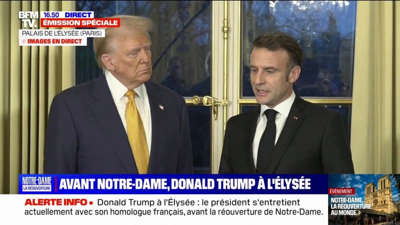 Donald Trump reçu à l'Élysée: 