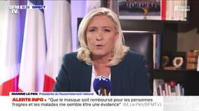 Reprise des cours: "Le président de la République, qui veut à tout prix que les Français retournent travailler, est peut-être sous pression d'un certain nombre de grands organismes patronaux", Marine Le Pen - 03/05