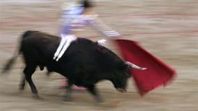 Une demande d'interdiction de la corrida en France a été pour la première fois plaidée mardi devant le Conseil constitutionnel, où le gouvernement a joint sa voix à celle des aficionados pour demander son maintien au nom de "l'intérêt général". /Photo d'a