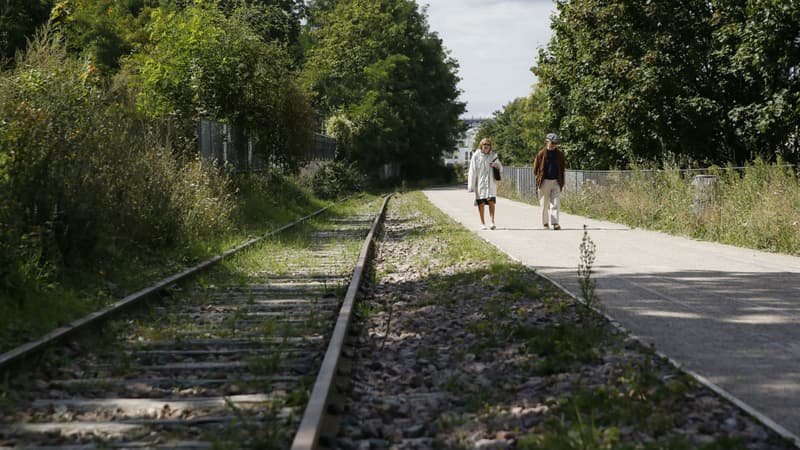 La Petite ceinture, ancienne voie ferroviaire a été en partie transformée en promenade. 