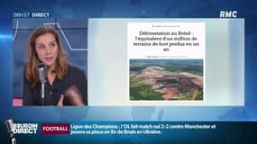La déforestation gagne du terrain au Brésil 