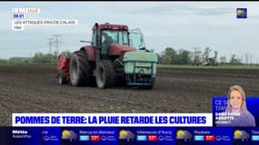 Nord: la pluie met à mal les cultures de pommes de terre