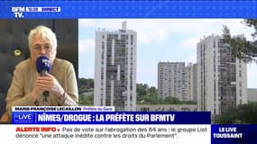 Médiathèque fermée à Nîmes: "Au fur et à mesure des années, ces quartiers se sont paupérisés", explique la préfète du Gard