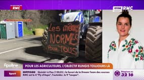 Pour les agriculteurs, l'objectif Rungis toujours là
