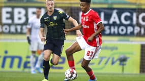 Gedson FERNANDES