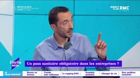 "Le pass sanitaire, c'est un droit de vivre. Mais sommes-nous prêts à la société du tout contrôle ?" Périco Légasse est favorable à l'extension du pass mais se demande si nous sommes prêt à l'accepter.