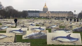 Les 400 portraits de dauphins grandeur nature exposés par la Ligue de protection des oiseaux sur l'esplanade des Invalides ce mercredi. Ces portraits symbolisent les 400 cadavres retrouvés sur les plages de la façade Atlantique depuis début décembre.