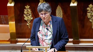 The Dominique Ibnet environmental member at the National Assembly, April 28, 2025.